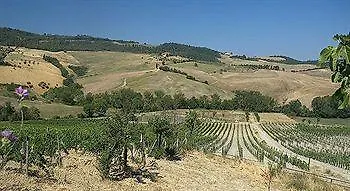Agroturismo San Gallo Montepulciano Stazione