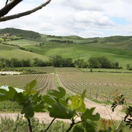 San Gallo * Montepulciano