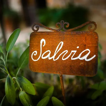 Farm stay San Gallo Montepulciano